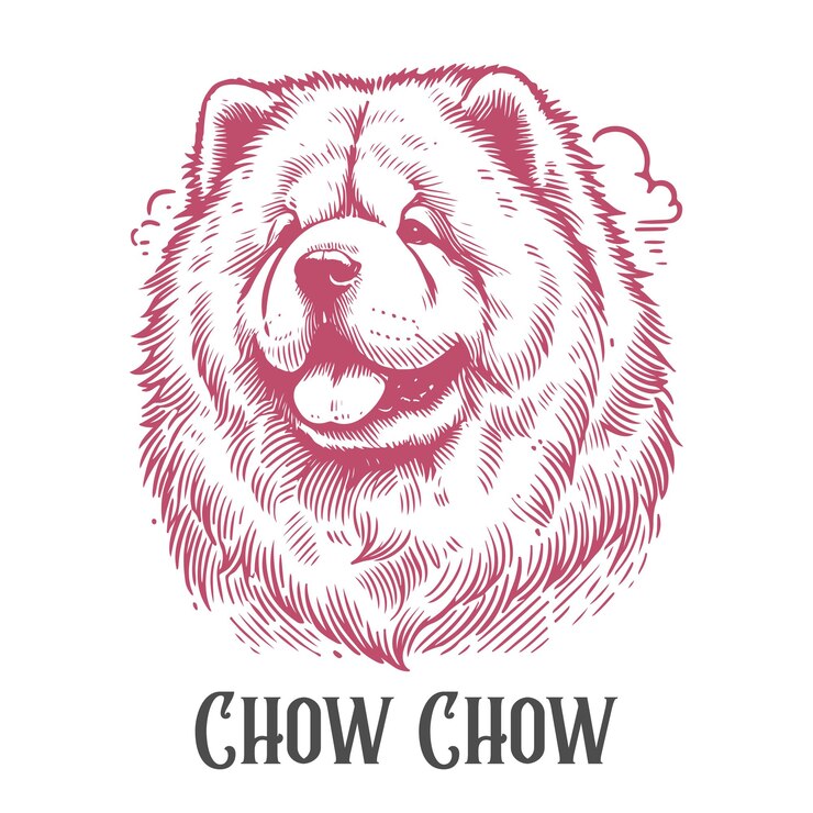 Vettore illustrazione classica della testa di un cane chow chow stile di incisione opere d'arte di animali d'epoca