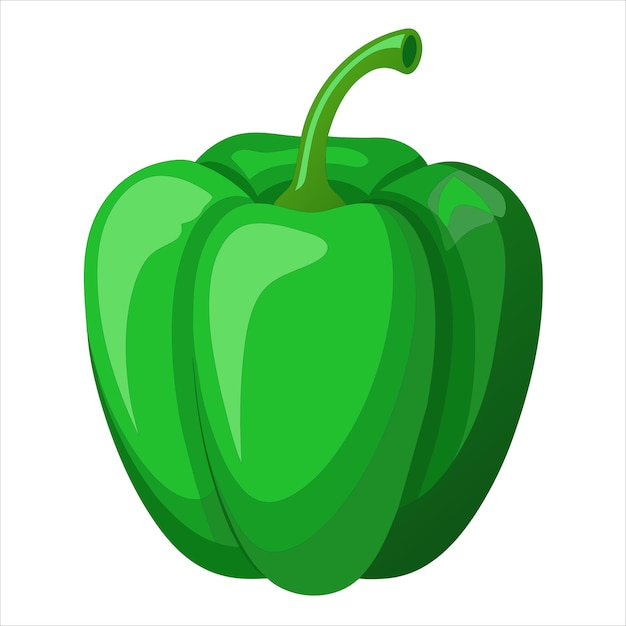 illustrazione colorata di pepe verde