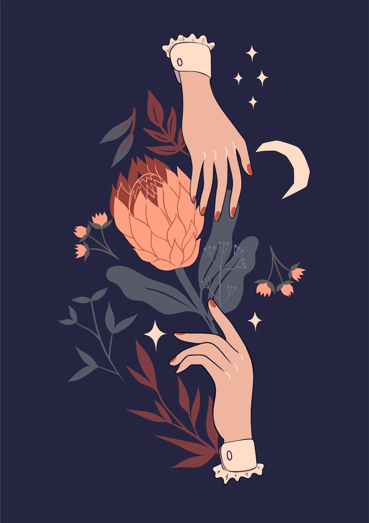 Vettore illustrazione con fiore protea e mani.