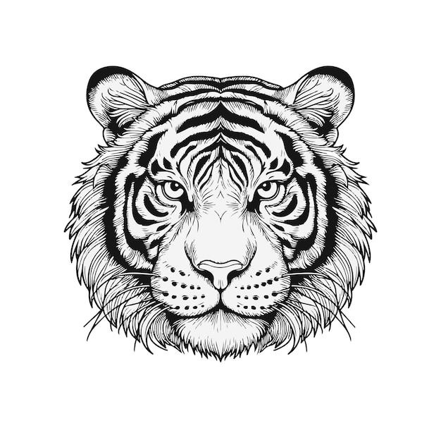 illustrazione con la faccia di una tigre