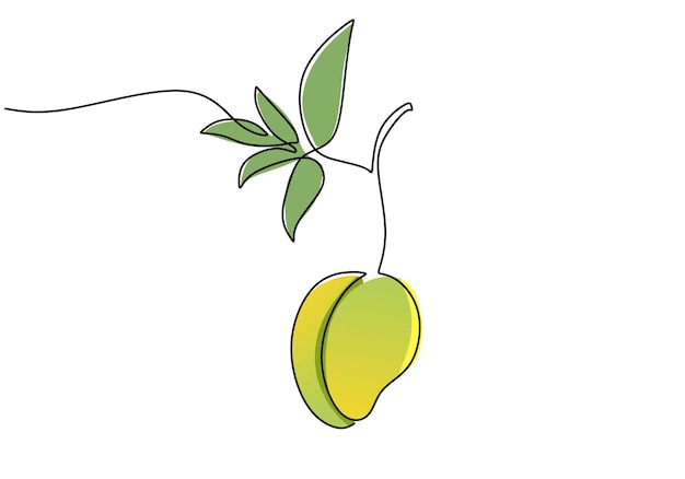 Illustrazione continua di un vettore di frutta con disegno a una linea di mango