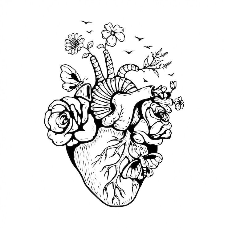Vettore illustrazione cuore anatomico con funghi