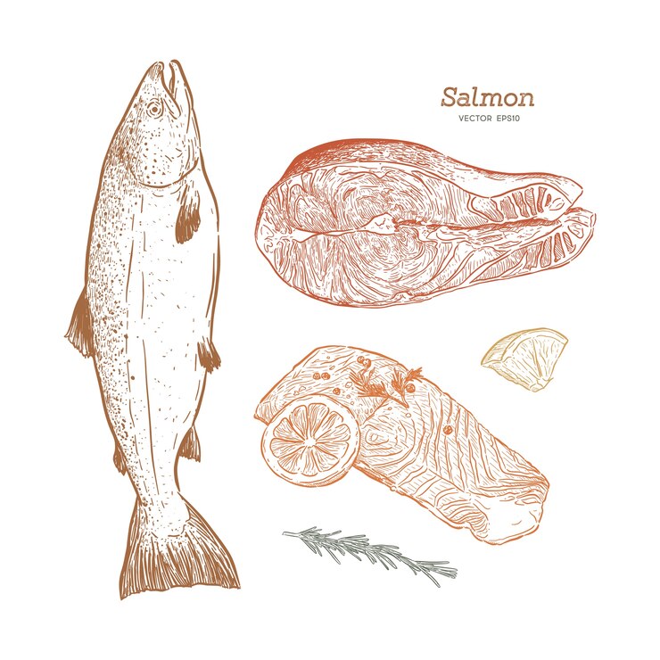 Illustrazione d'annata di vettore di pesce schizzo disegnato a mano