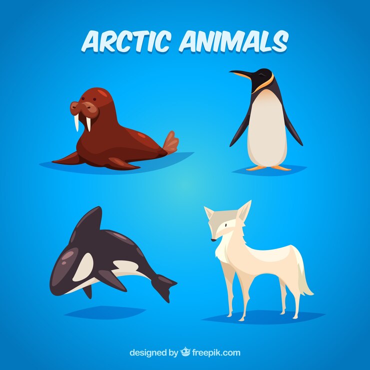 Vettore illustrazione degli animali artici