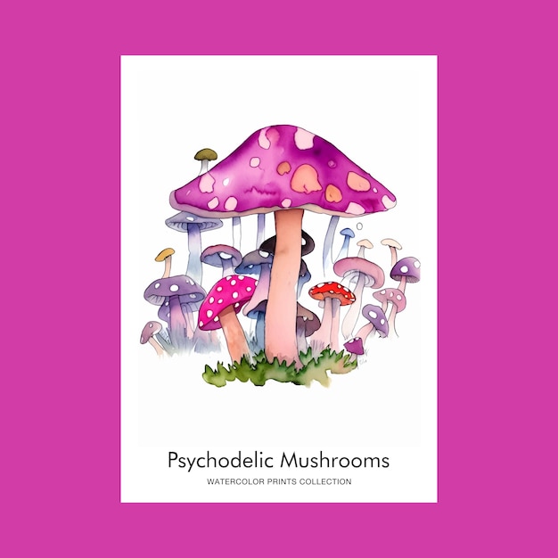 Illustrazione dei funghi magici del fungo dell'acquerello