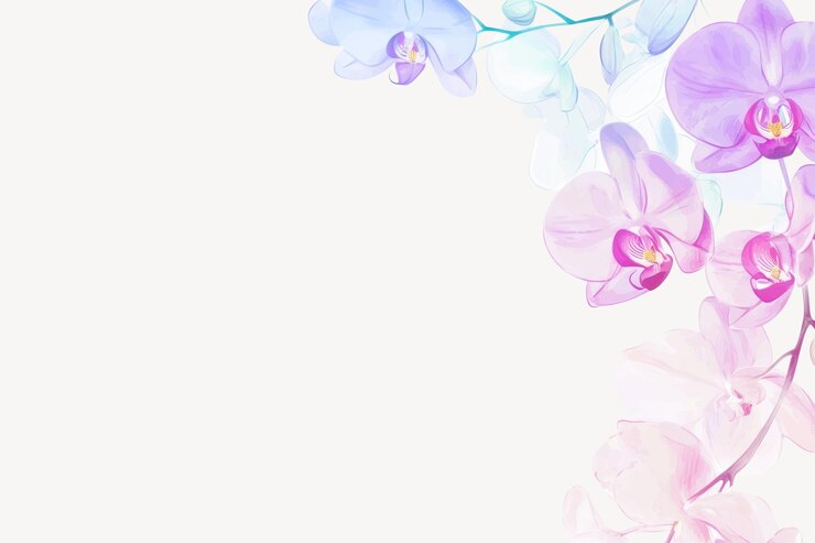 Vettore illustrazione del bordo dell'orchidea fiori vettore pastello