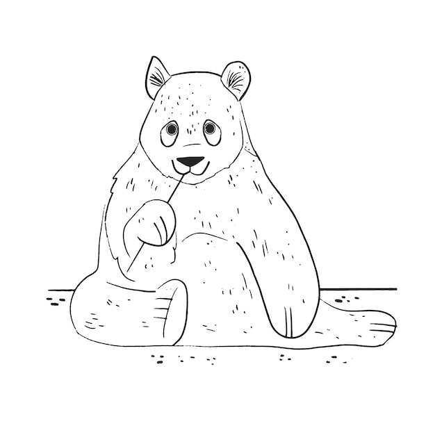 Illustrazione del contorno dell'orso disegnata a mano