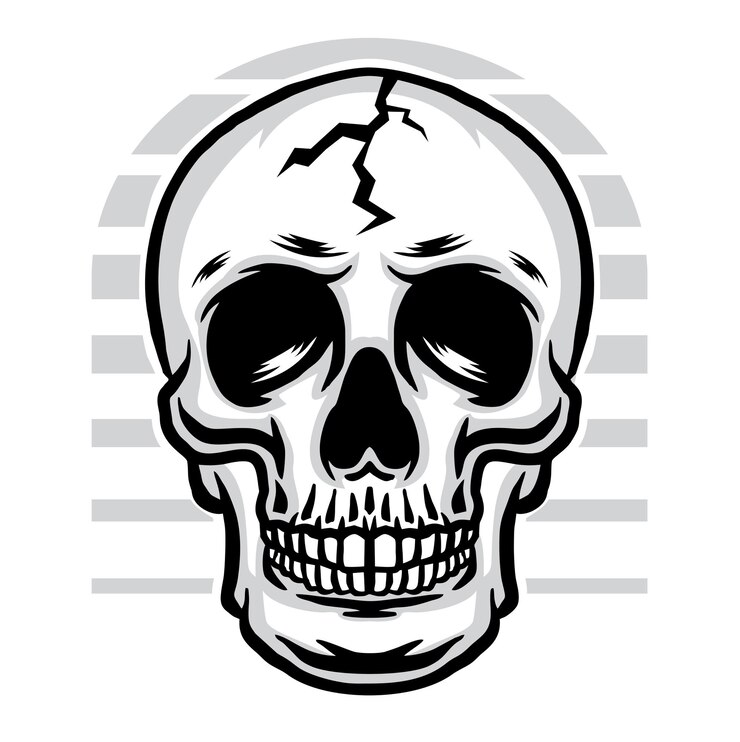 Vettore illustrazione del cranio umano