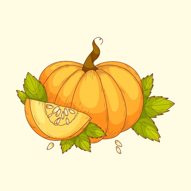 Illustrazione del disegno della zucca disegnata a mano