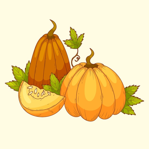 Illustrazione del disegno della zucca disegnata a mano