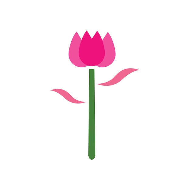 Illustrazione del fiore di rosa