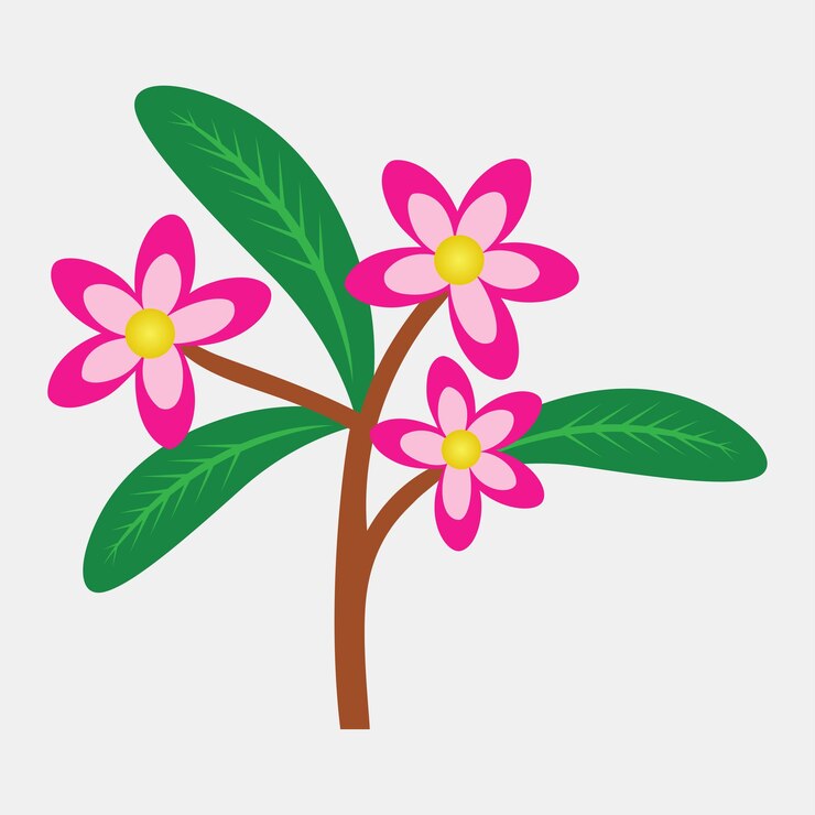 Vettore illustrazione del fiore rosa della cambogia