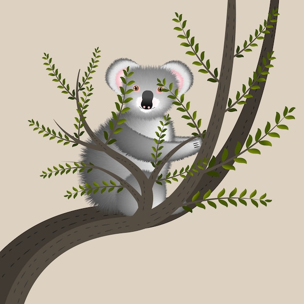 Illustrazione del fumetto con il koala sveglio sull'albero. Simpatico personaggio dei cartoni animati divertenti. Animale australiano.