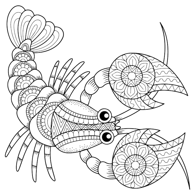 Vettore illustrazione del libro da colorare