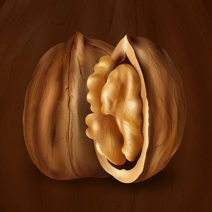 Vettore illustrazione del mangostano su bianco