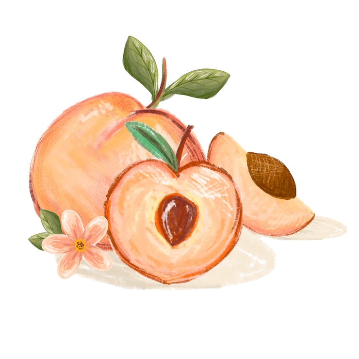 Vettore illustrazione del pastello disegnato a mano