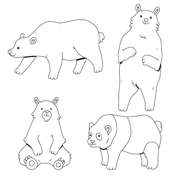 Illustrazione del profilo dell'orso disegnato a mano