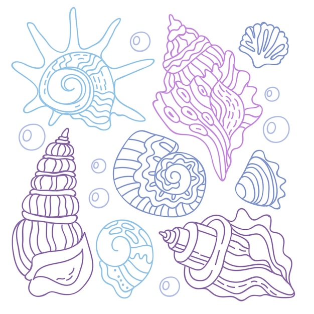 Illustrazione del profilo della conchiglia disegnata a mano