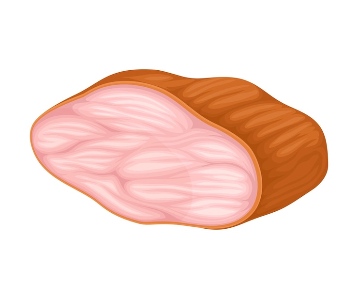 Vettore illustrazione del vettore del prodotto a base di carne di pollo affumicato