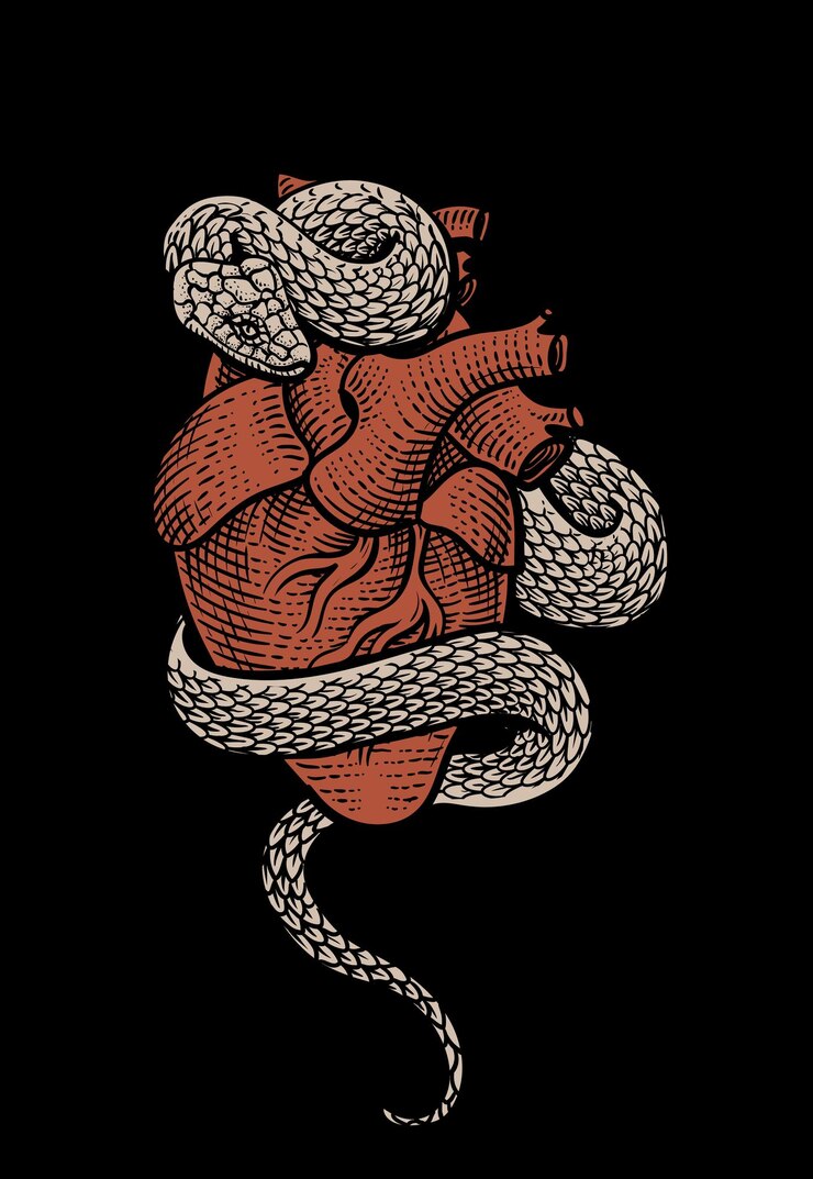 Vettore illustrazione del vettore del serpente cuore disegnato a mano su sfondo nero vettore eps 10