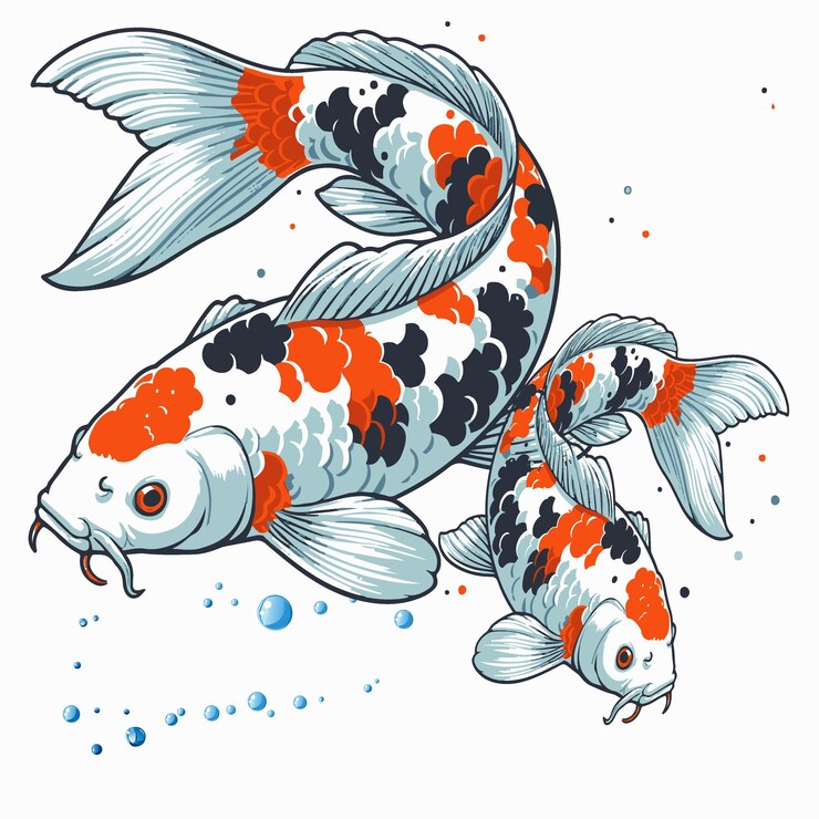 Illustrazione del vettore Koi Illustrazione di sfondo del pesce Koi