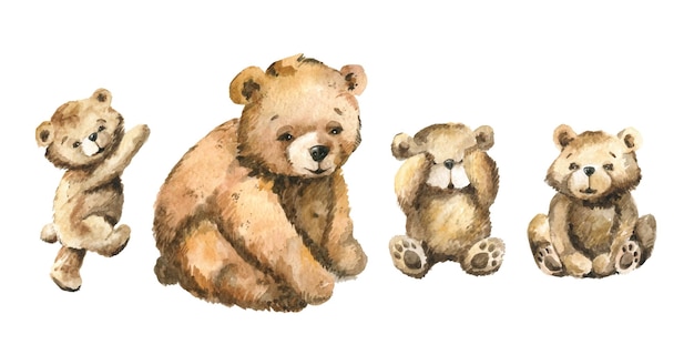 Illustrazione dell'acquerello della famiglia degli animali dell'orso