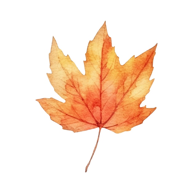 Illustrazione dell'acquerello della foglia autunnale