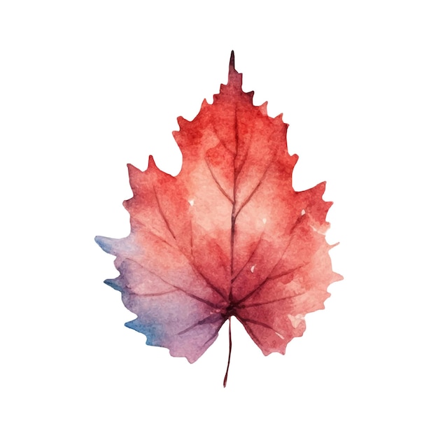 Illustrazione dell'acquerello della foglia autunnale