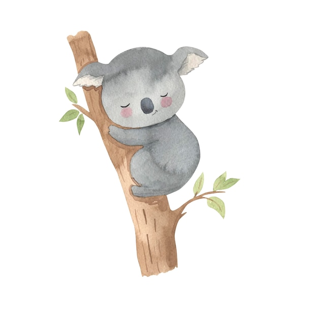 Illustrazione dell'acquerello di koala per bambini