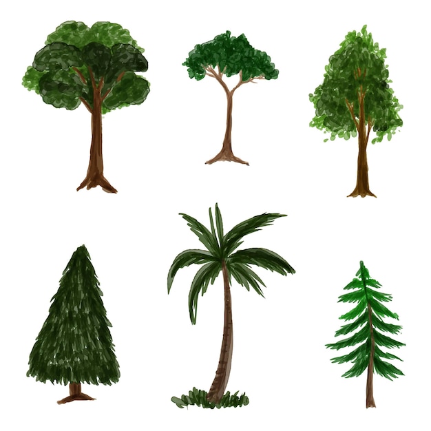 illustrazione dell'albero dell'acquerello