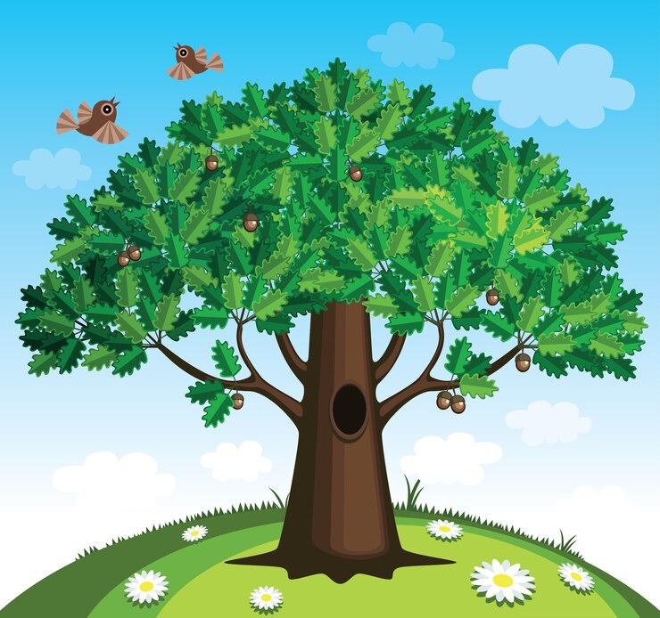 Vettore illustrazione dell'albero di quercia