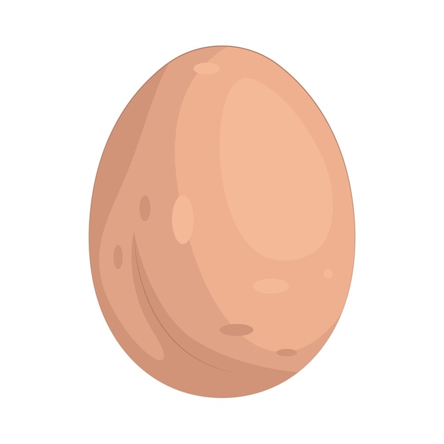 illustrazione dell'uovo