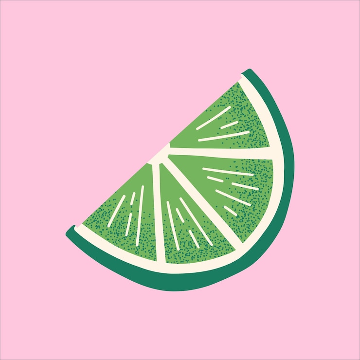 Vettore illustrazione della fetta di lime con texture disegnata a mano