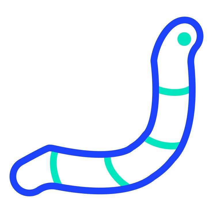 Vettore illustrazione della progettazione dell'icona del vettore di worm