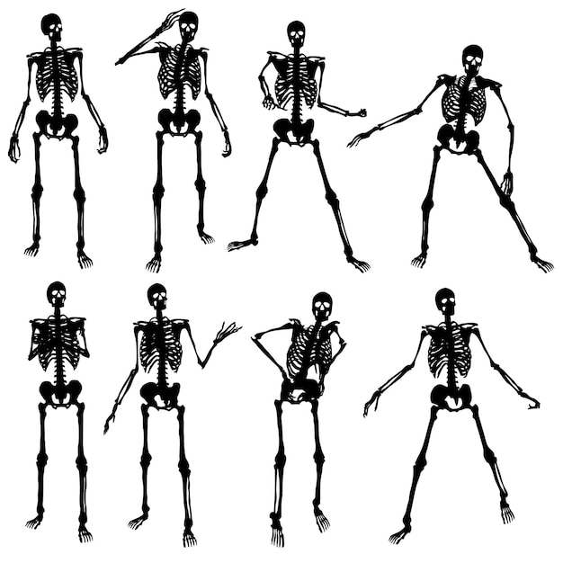 illustrazione della siluetta del cranio vettore varie pose serie uno