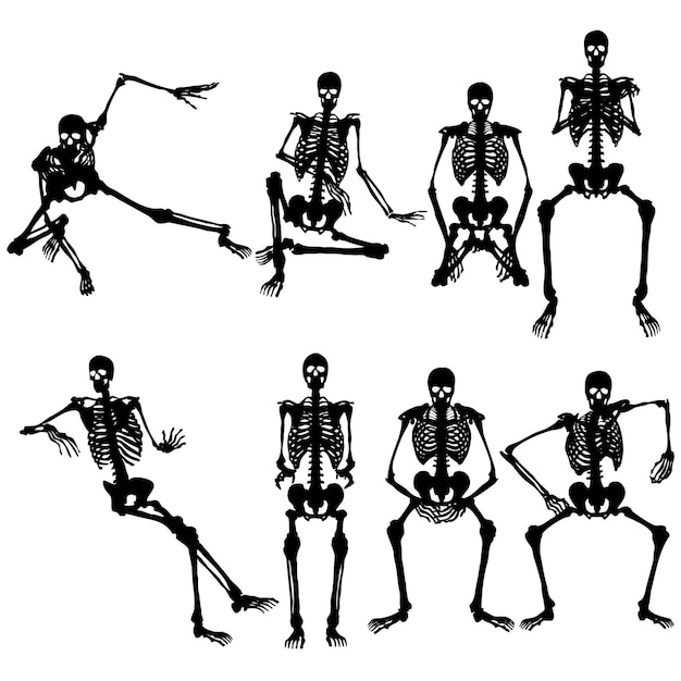illustrazione della siluetta del cranio vettore varie pose tre serie