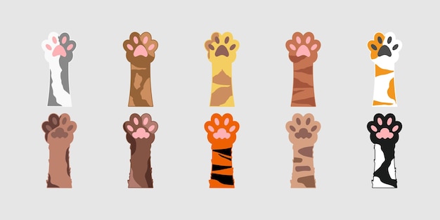Illustrazione della zampa di gatto