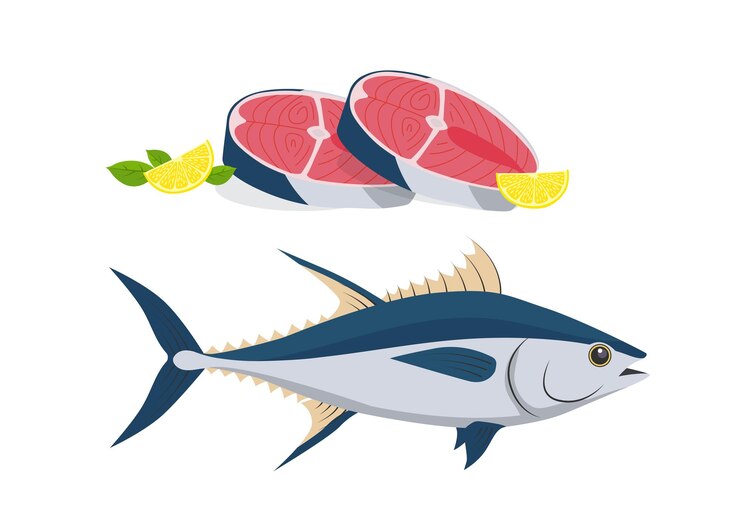 Vettore illustrazione dello stock di pesce tonno e filetto di fette crude