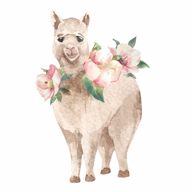 illustrazione di alpaca per il vettore dell'acquerello dei bambini