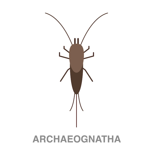 Illustrazione di Archeognatha su sfondo trasparente