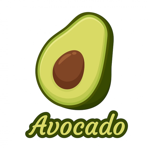 Illustrazione di avocado