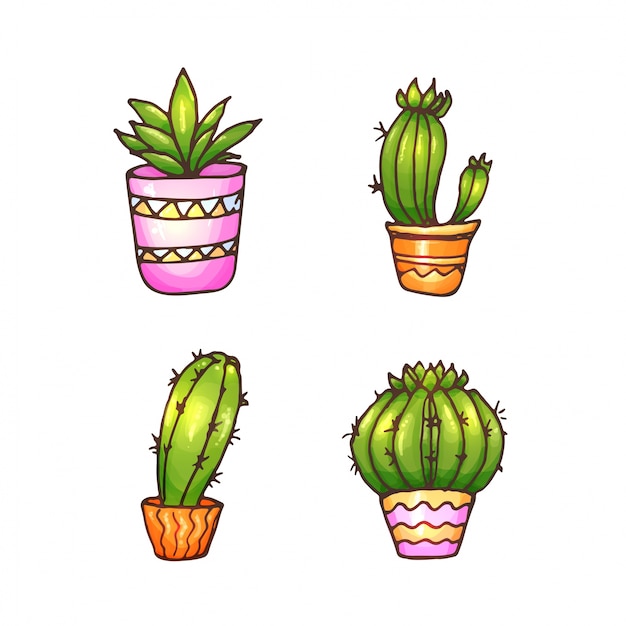 Illustrazione di cactus e succulente