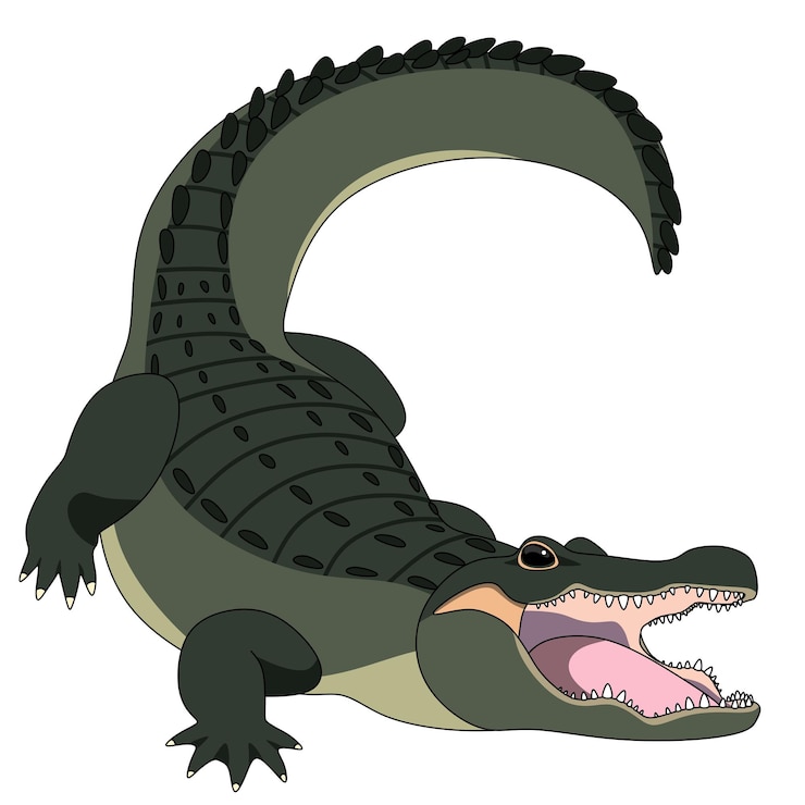 Vettore illustrazione di cartoni animati di alligatori