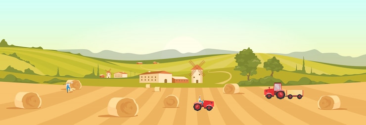 Vettore illustrazione di colore piatto di terreni agricoli