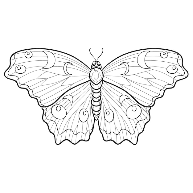 Illustrazione di contorno di farfalla ornamentale disegnata a mano con ornamenti decorativi