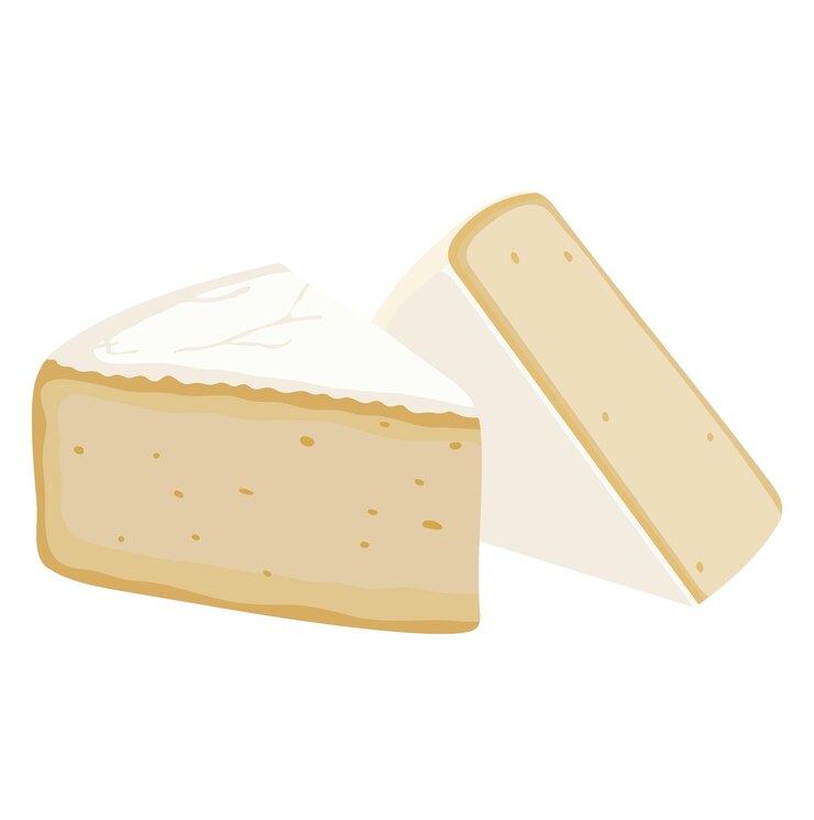 Vettore illustrazione di fette di formaggio camembert isolate su sfondo bianco