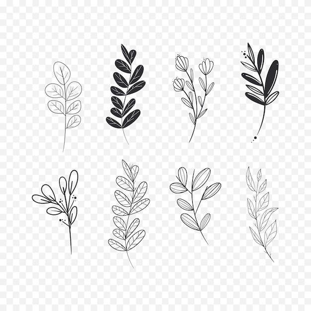 Illustrazione di fiori di primavera disegnati a mano Illustrazione floreale