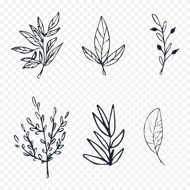 Illustrazione di fiori di primavera disegnati a mano Illustrazione floreale