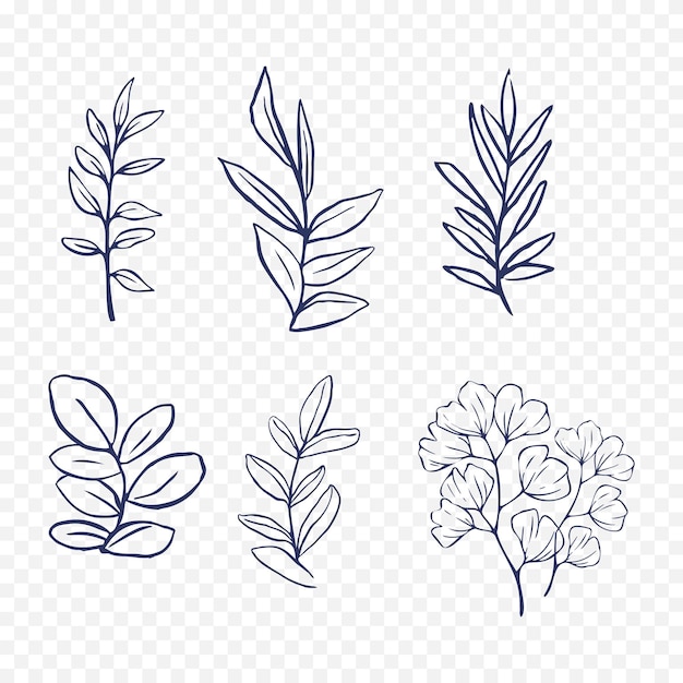 Illustrazione di fiori di primavera disegnati a mano Illustrazione floreale