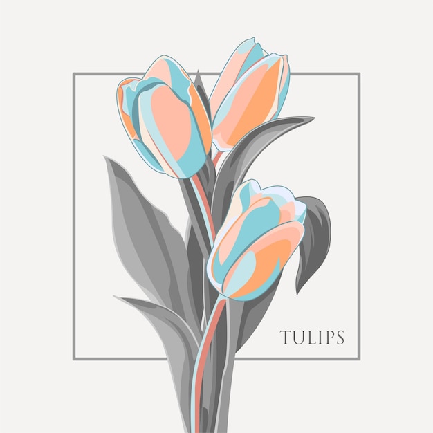 illustrazione di fiori di tulipani